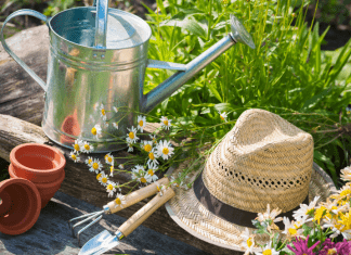 6 Tips For Starting Your Garden This Year