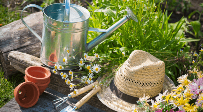 6 Tips For Starting Your Garden This Year