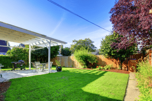 Easy & Cheap Backyard Makeover: 7 Tricks to Help Your Yard Not Suck