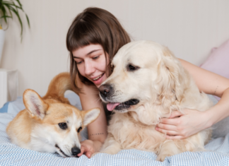 My Dogs Were My Children Until I Had a Baby Why the Family Vacation Is Overrated (and What You Can Do About
