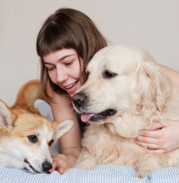 My Dogs Were My Children Until I Had a Baby Why the Family Vacation Is Overrated (and What You Can Do About