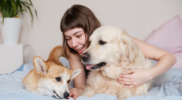 My Dogs Were My Children Until I Had a Baby Why the Family Vacation Is Overrated (and What You Can Do About