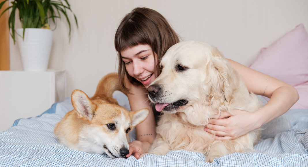 My Dogs Were My Children Until I Had a Baby