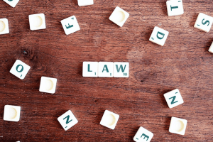 Law & Order :: Tips for Getting a Bill Passed in New Mexico