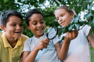 5 Nature Scavenger Hunts You Can Do Today!