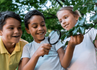 5 Nature Scavenger Hunts You Can Do Today! 5 Nature Scavenger Hunts You Can Do Today!