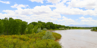 Albuquerque Moving Guide: Belén Albuquerque Moving Guide: Belén