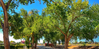 Albuquerque Moving Guide: Corrales Albuquerque Moving Guide: Corrales