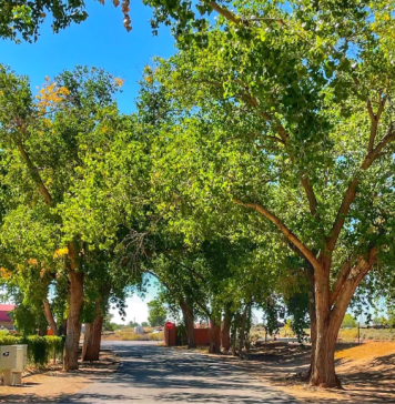 Albuquerque Moving Guide: Corrales Albuquerque Moving Guide: Corrales