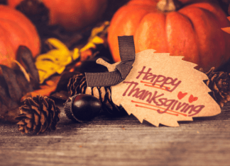 Family Thankful Tree :: Focusing on the Season of Thanksgiving Family Thankful Tree :: Focusing on the Season of Thanksgiving