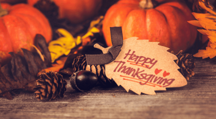 Family Thankful Tree :: Focusing on the Season of Thanksgiving Family Thankful Tree :: Focusing on the Season of Thanksgiving