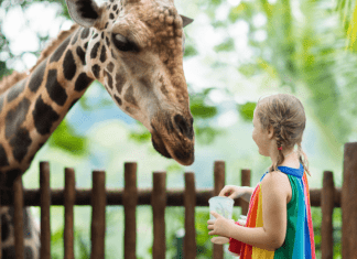 Guide to Experiential Gift Giving Guide to Experiential Gift Giving