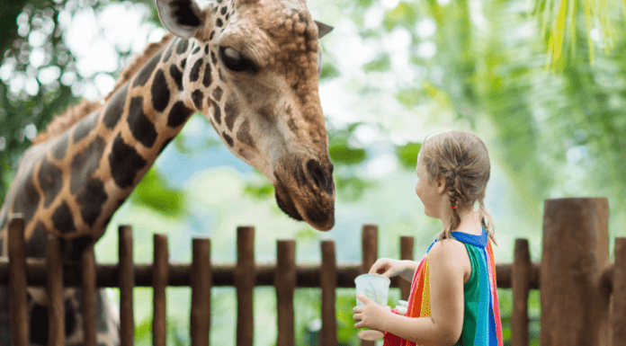 Guide to Experiential Gift Giving Guide to Experiential Gift Giving