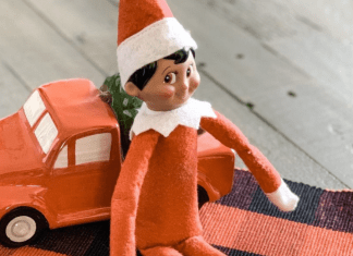 Elf on the Self: 5 Believable Excuses for No Movement Elf on the Self: 5 Believable Excuses for No Movement