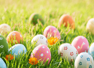 You’ve Been Egged :: Spread Some Spring Joy (Includes Free Printable)