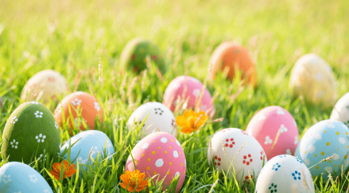 You’ve Been Egged :: Spread Some Spring Joy (Includes Free Printable)