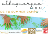 Guide to Summer Camps