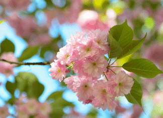 April Family-Friendly Events in Albuquerque