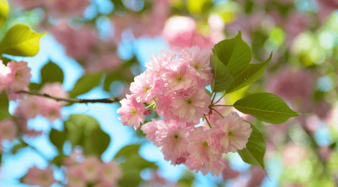 April Family-Friendly Events in Albuquerque