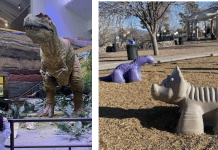 Dinosaurs in Albuquerque