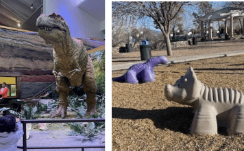 Dinosaurs in Albuquerque
