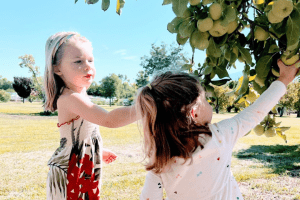 4 Family-Friendly, Slow Living Activities for Earth Day