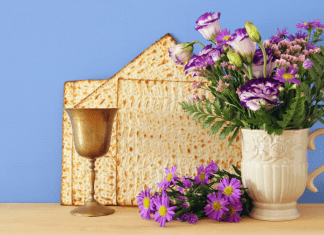 A Bag of Plagues: How My Family Celebrates Passover