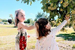4 Family-Friendly, Slow Living Activities for Earth Day