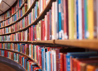 Summer Reading Programs in the Albuquerque Area