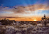 6 Campsites Located 1-Hour (or Less) from Albuquerque 6 Campsites within a 1-Hour Drive from Albuquerque