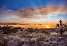 6 Campsites Located 1-Hour (or Less) from Albuquerque 6 Campsites within a 1-Hour Drive from Albuquerque