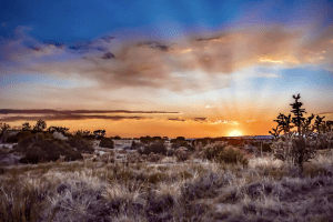 6 Campsites within a 1-Hour Drive from Albuquerque