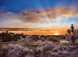 6 Campsites Located 1-Hour (or Less) from Albuquerque 6 Campsites within a 1-Hour Drive from Albuquerque