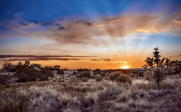 6 Campsites Located 1-Hour (or Less) from Albuquerque 6 Campsites within a 1-Hour Drive from Albuquerque