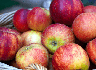 Guide to Apple Orchards in the Albuquerque Area Guide to Apple Orchards in Albuquerque