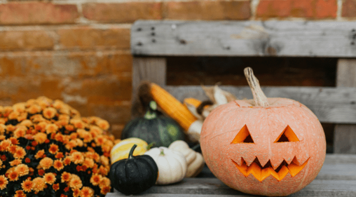 Guide to October in Albuquerque