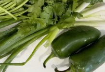 Easy and Delicious 6-Ingredient Salsa Easy and Delicious 6-Ingredient Salsa