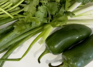 Easy and Delicious 6-Ingredient Salsa Easy and Delicious 6-Ingredient Salsa