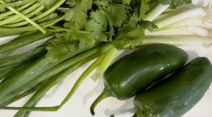 Easy and Delicious 6-Ingredient Salsa Easy and Delicious 6-Ingredient Salsa