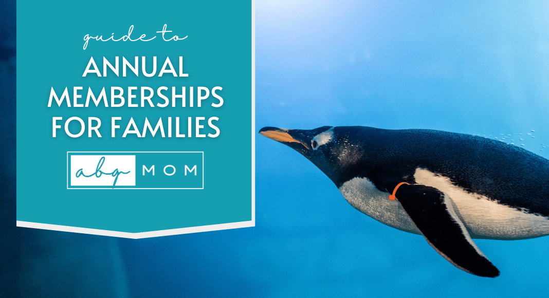 annual memberships in Albuquerque
