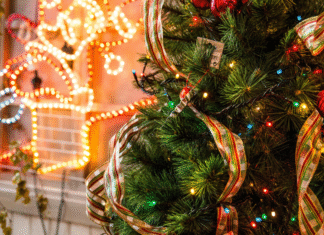 Guide to December in Albuquerque Guide to December in Albuquerque