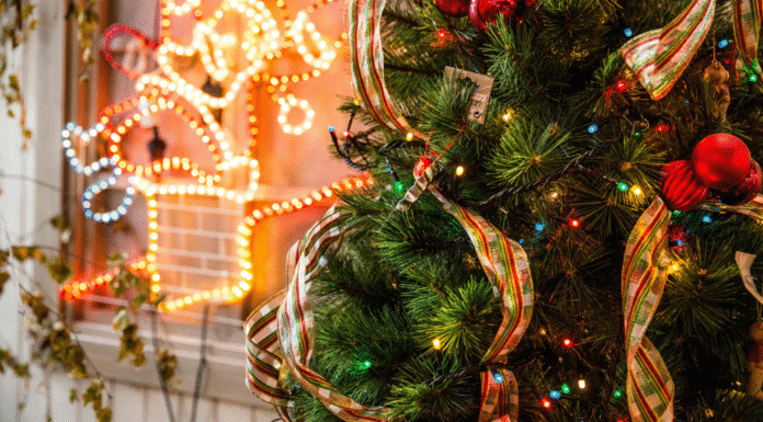 Guide to December in Albuquerque Guide to December in Albuquerque