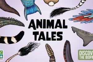 animal tales