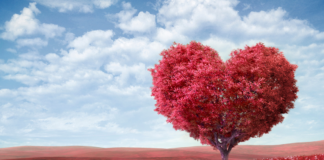 February Family-Friendly Events in Albuquerque
