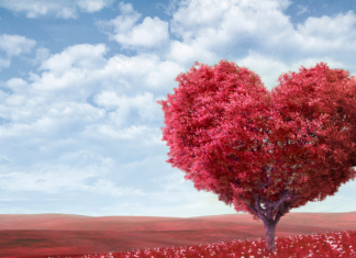 February Family-Friendly Events in Albuquerque