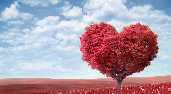 February Family-Friendly Events in Albuquerque