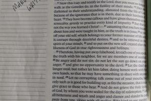 bible