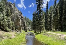 Our Family’s Favorite Hike: Las Conchas Trail