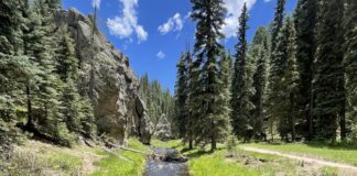 Our Family’s Favorite Hike: Las Conchas Trail