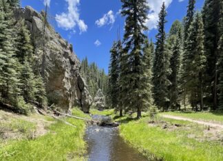 Our Family’s Favorite Hike: Las Conchas Trail